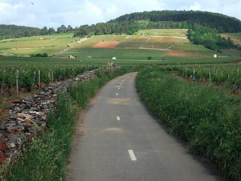 2010-05- (17).JPG - Und schon sind wir wieder in den Weinbergen. Der Feldweg mit Mittelstreifen ist gerade mal 3 Meter breit, also nur etwas für Superminiautos - aber Ordnung muss sein, immer schön rechts halten